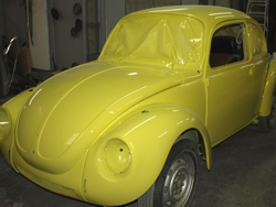 beetle1