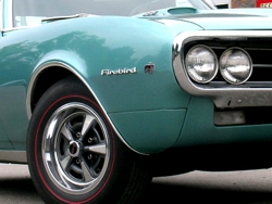 firebird-1