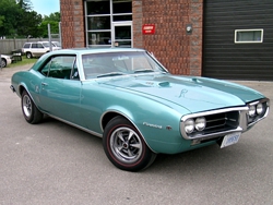 firebird-2